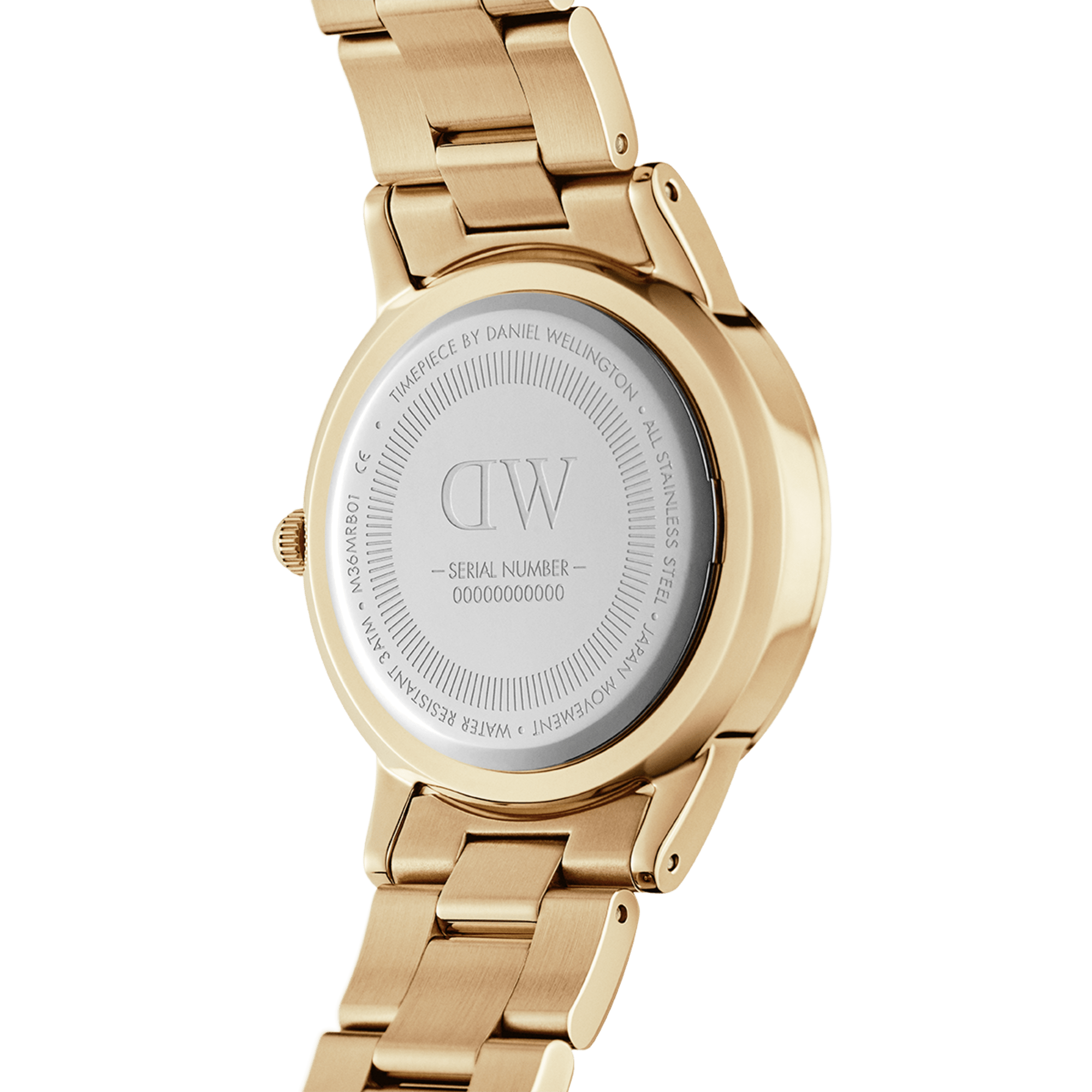 DW Iconic Link Black Gold Watch
